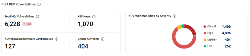 CISA KEV Vulnerabilities charts